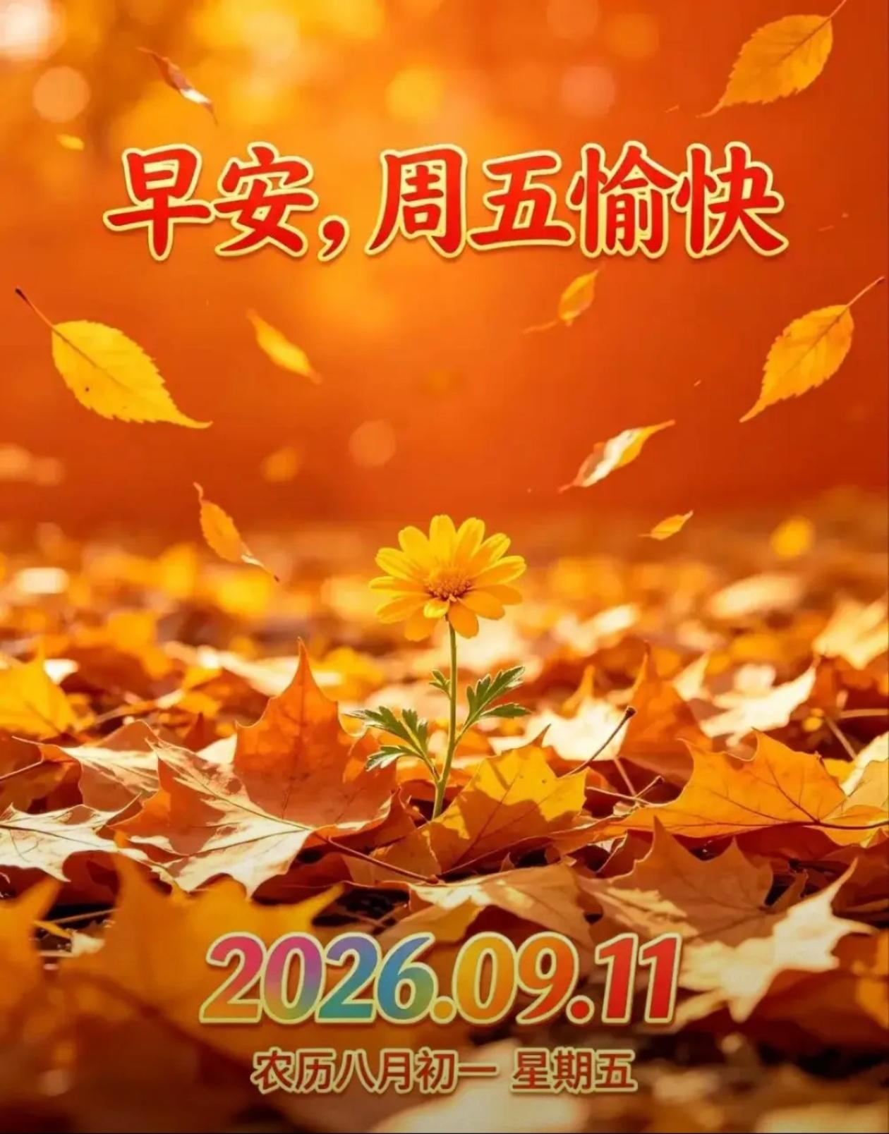 [福]2026./9月11，周五愉快，硕果累累，福运满满[福]


☘️🍁金秋