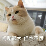 草根热聚汽车