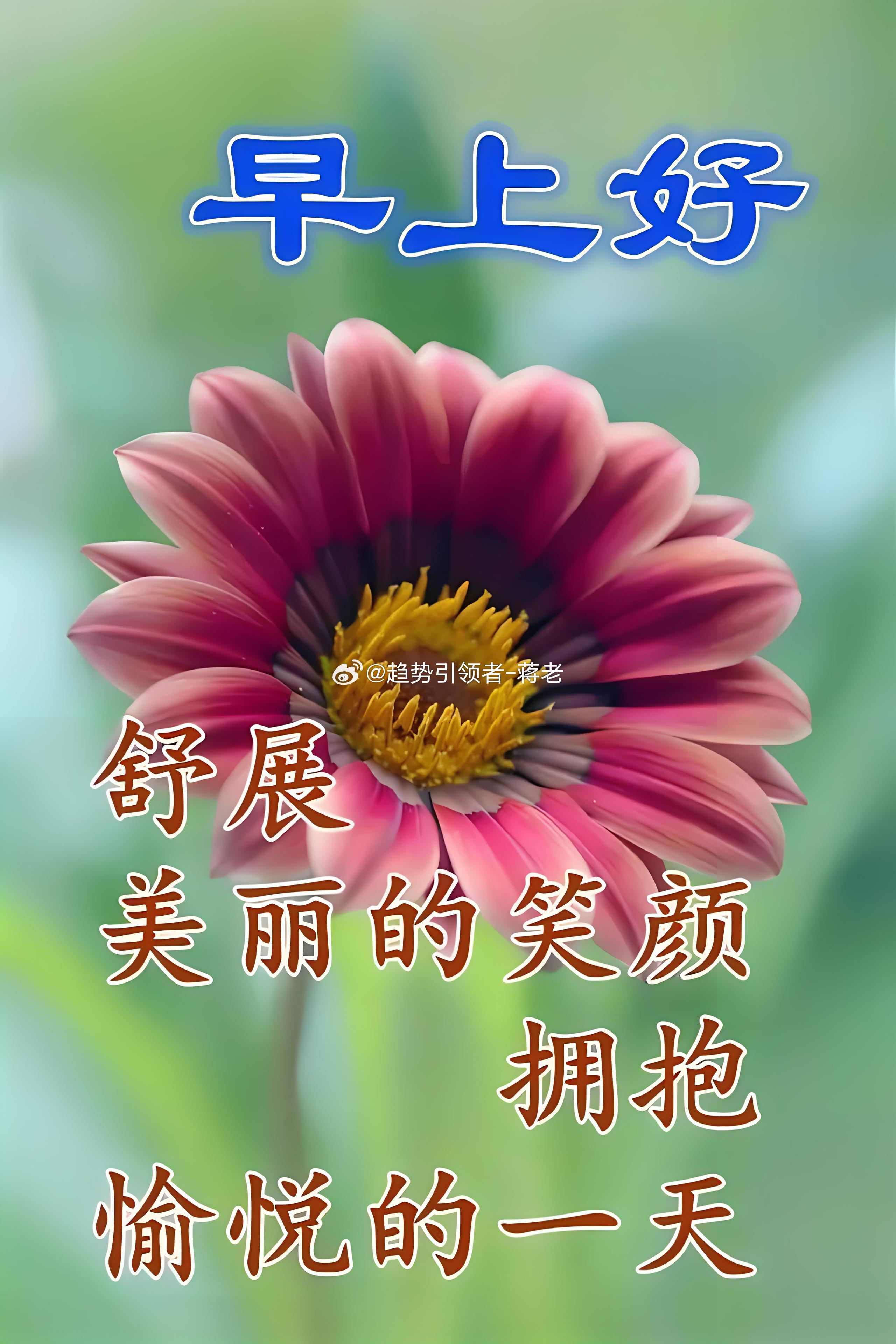 周二、早！人生更像一场没有终点的徒步，而不是赛跑。心态不是输赢的开关，而是你看风