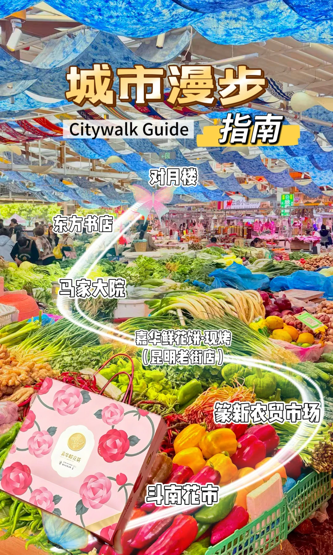 昆明｜从老街烟火到斗南花海，一日慢游攻略