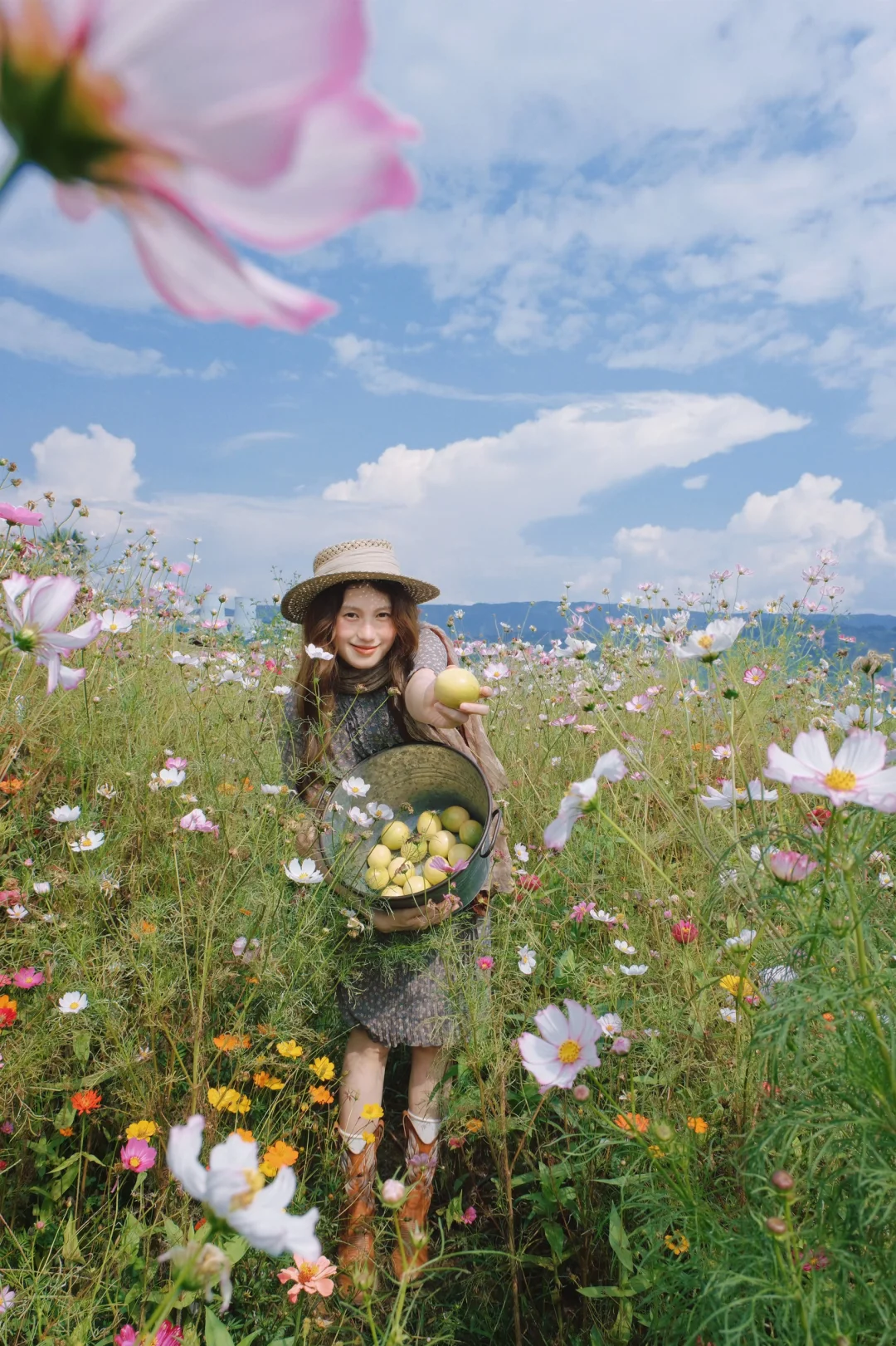 🖼️🌼走进油画里