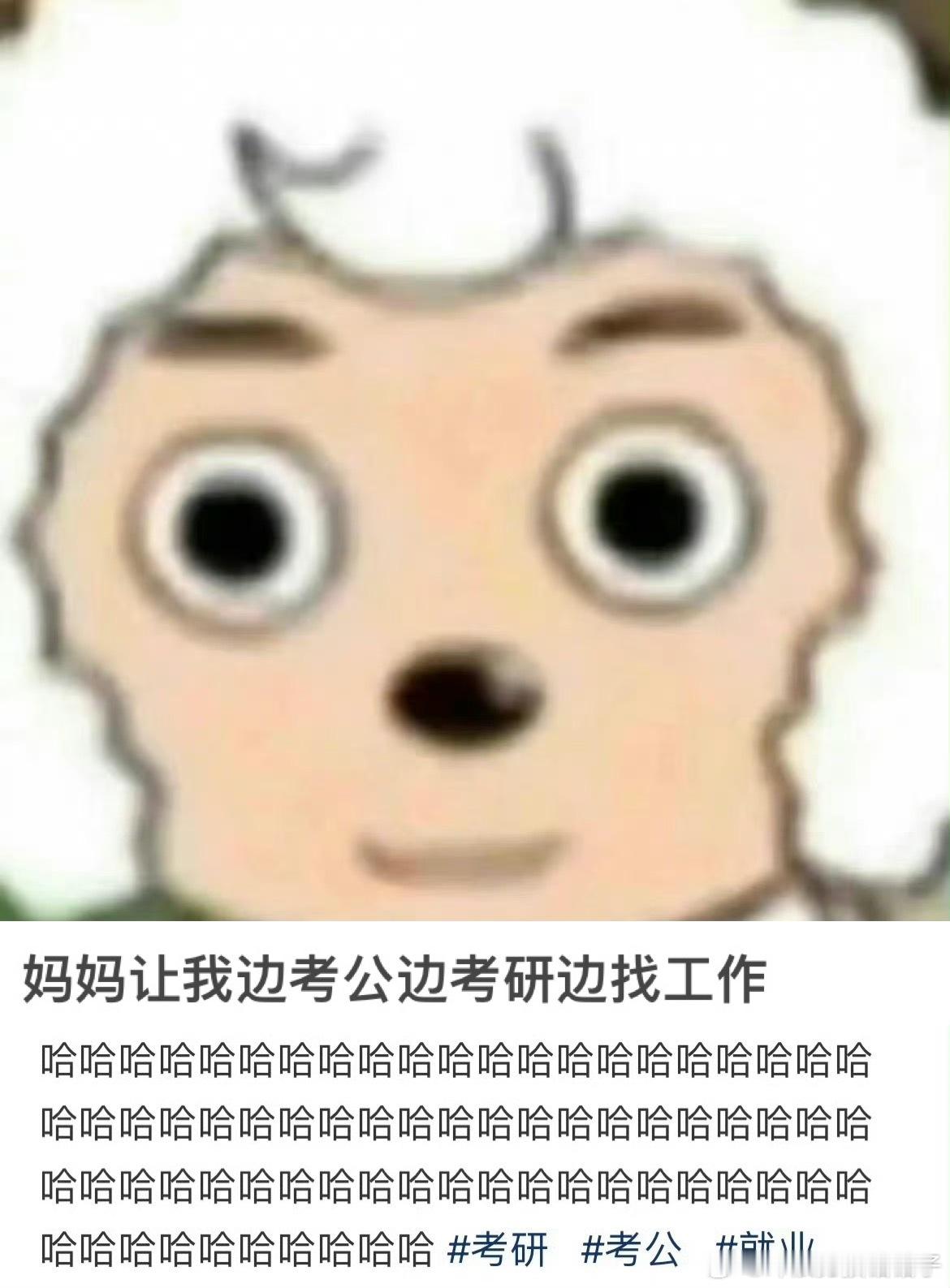 妈妈让我边考公边考研边找工作 ​ ​​​