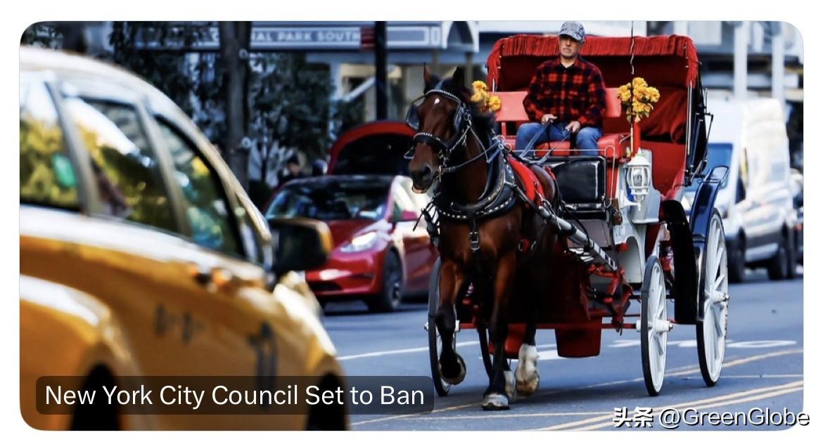 纽约市中央公园的马车可能将被禁止

《纽约时报》报道突发新闻：纽约市议会刚刚通过