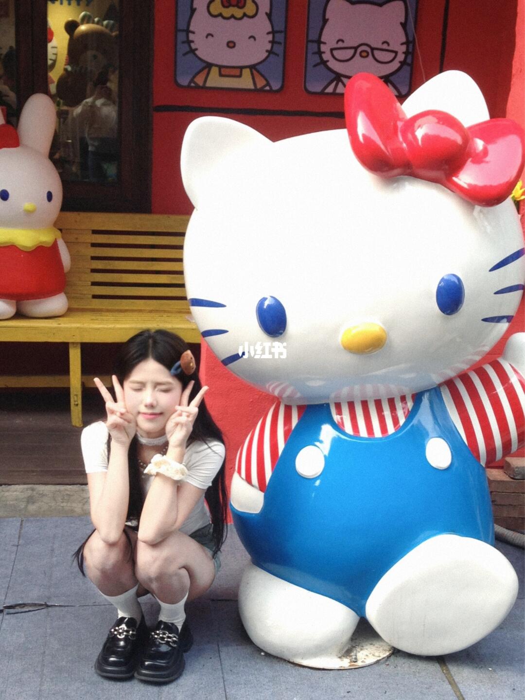 ‧₊˚☆ 𝗛𝗲𝗹𝗹𝗼 𝗞𝗶𝘁𝘁𝘆˙ ϖ˙ ☆‧₊˚