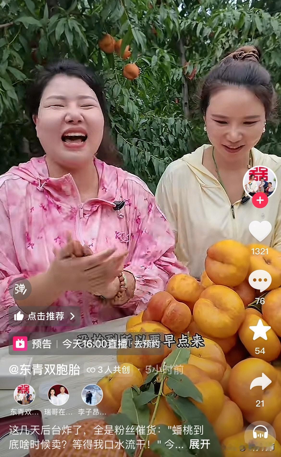 奶茶阿姨太宠爱粉丝啦！
      这几天后台炸了，全是粉丝催货：蟠桃到底什么时