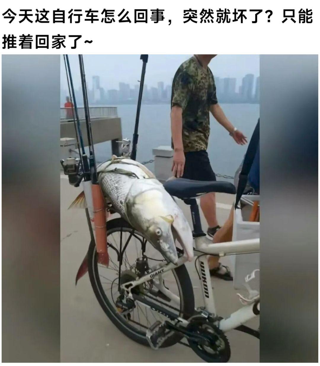 车坏了，耽误我回家啊