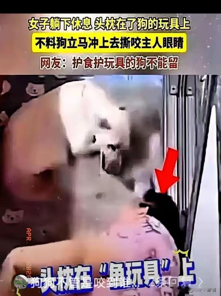 拿狗当孩子养，女子付出惨重代价
 
黑龙江一女子养一只金毛，因为从小养到大，这狗
