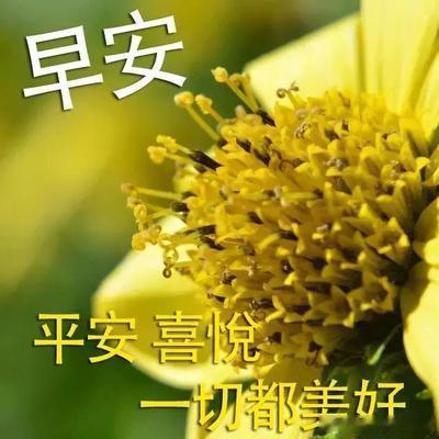 朋友们、早上好趋势从不是靠猜测，而是用专业逻辑一步步确认方向、验证信号。实战路上