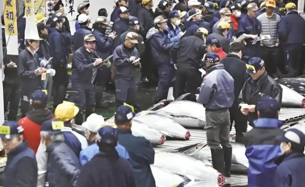 日本人不吃的海鲜正在流向全世界！日本核污水排海 三年，日本海鲜出口额冲到4231