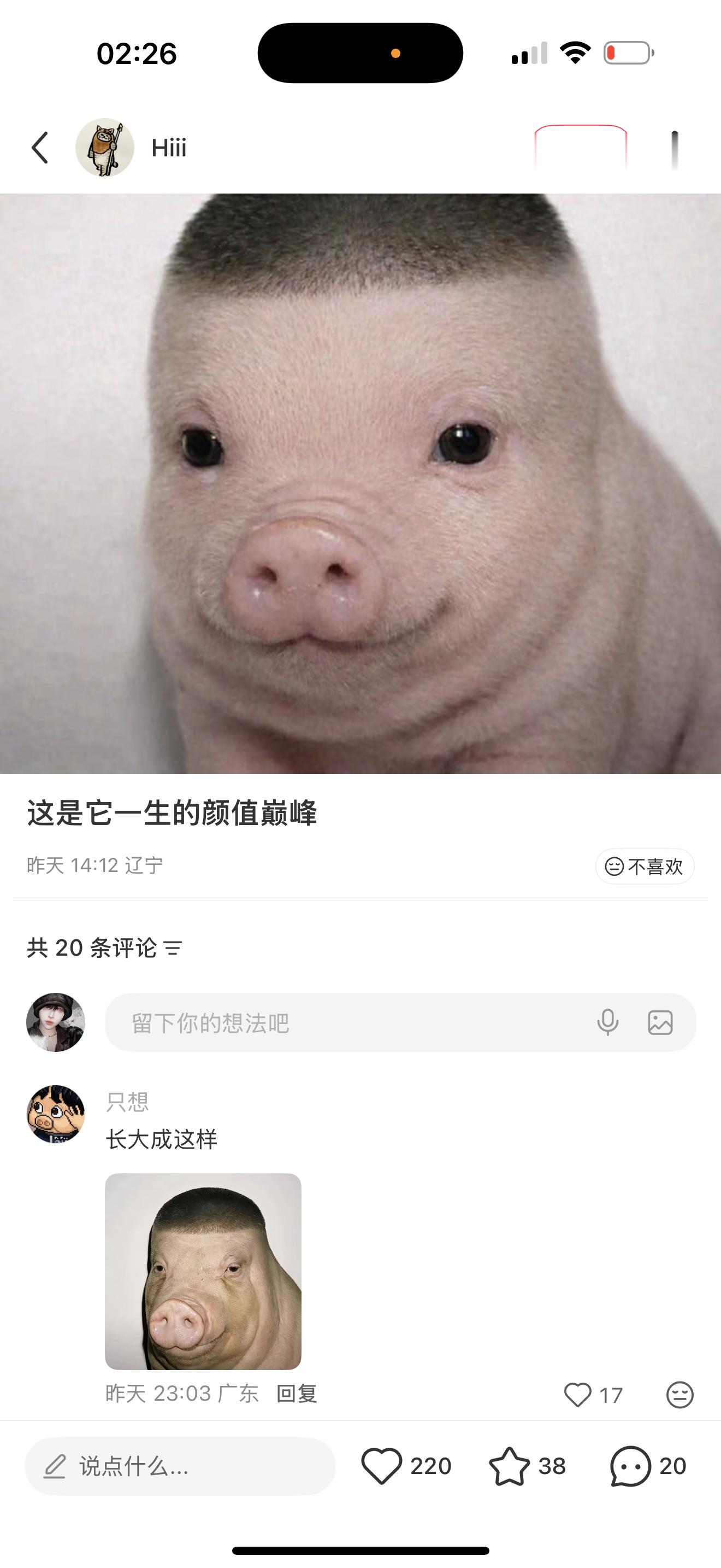 笑哭了 