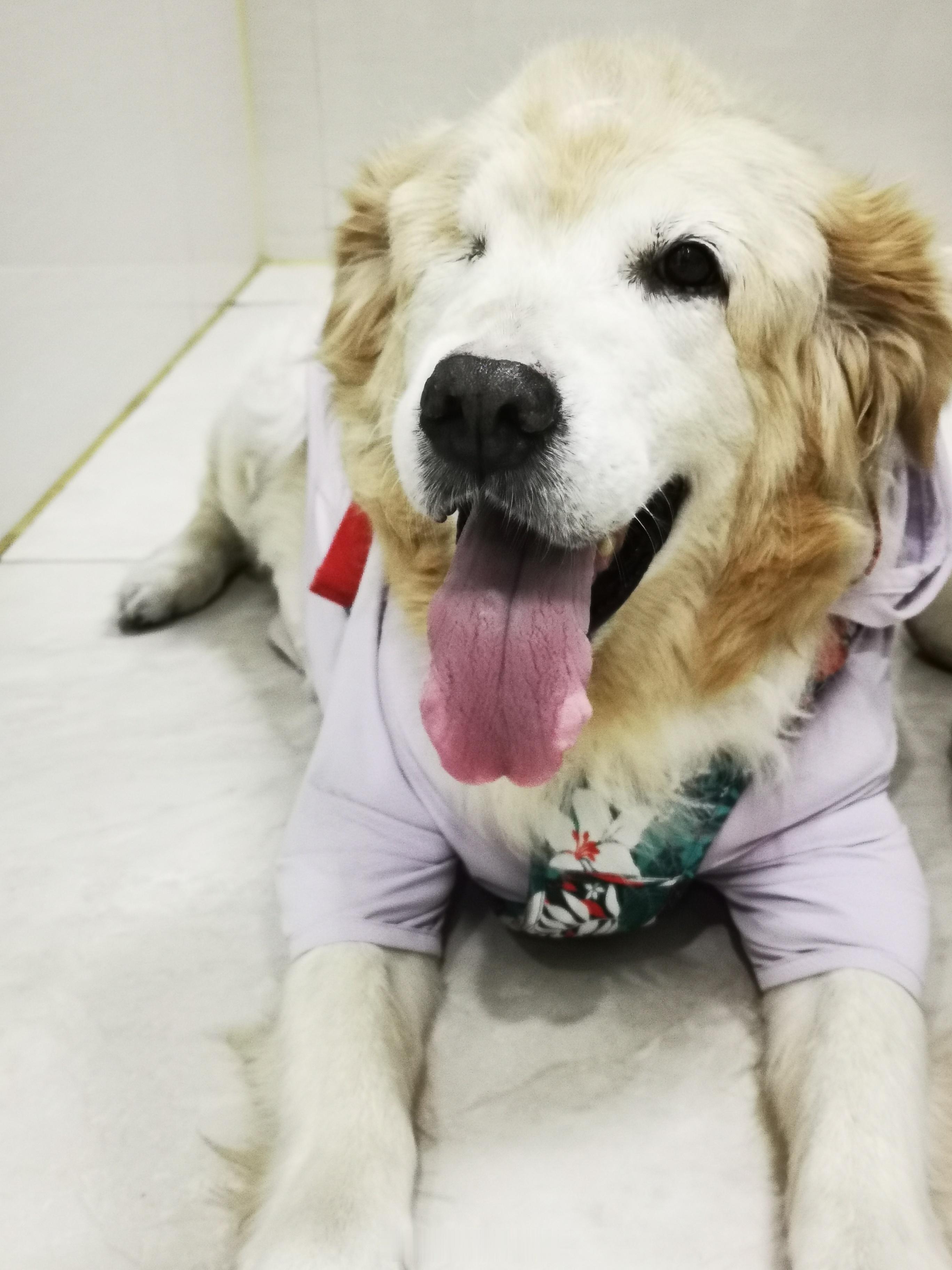 脉诊，舌诊，眼诊。最近重新体会和学习脉诊 舌诊  眼诊  老师讲了框架以后需要自