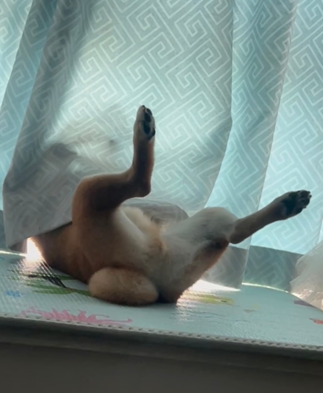睡的四仰八叉 