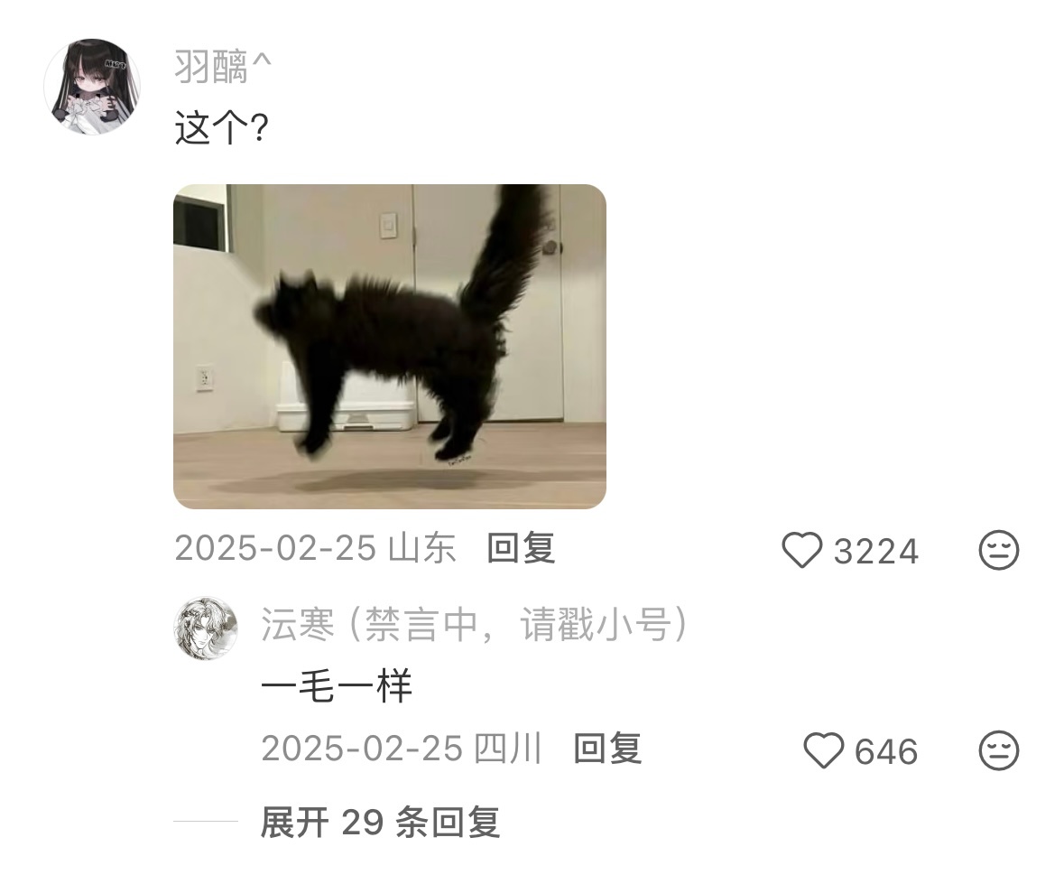 人一旦开始搞抽象就停不下来了 