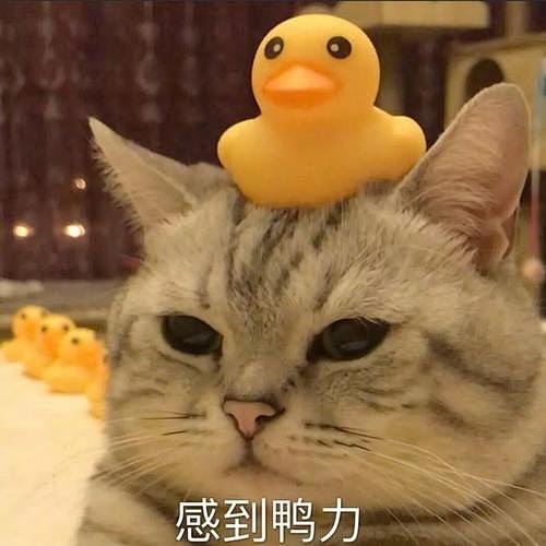 睡覺吧，我確實有點累了想到3件套100+100+100=300w還沒開始已感到累