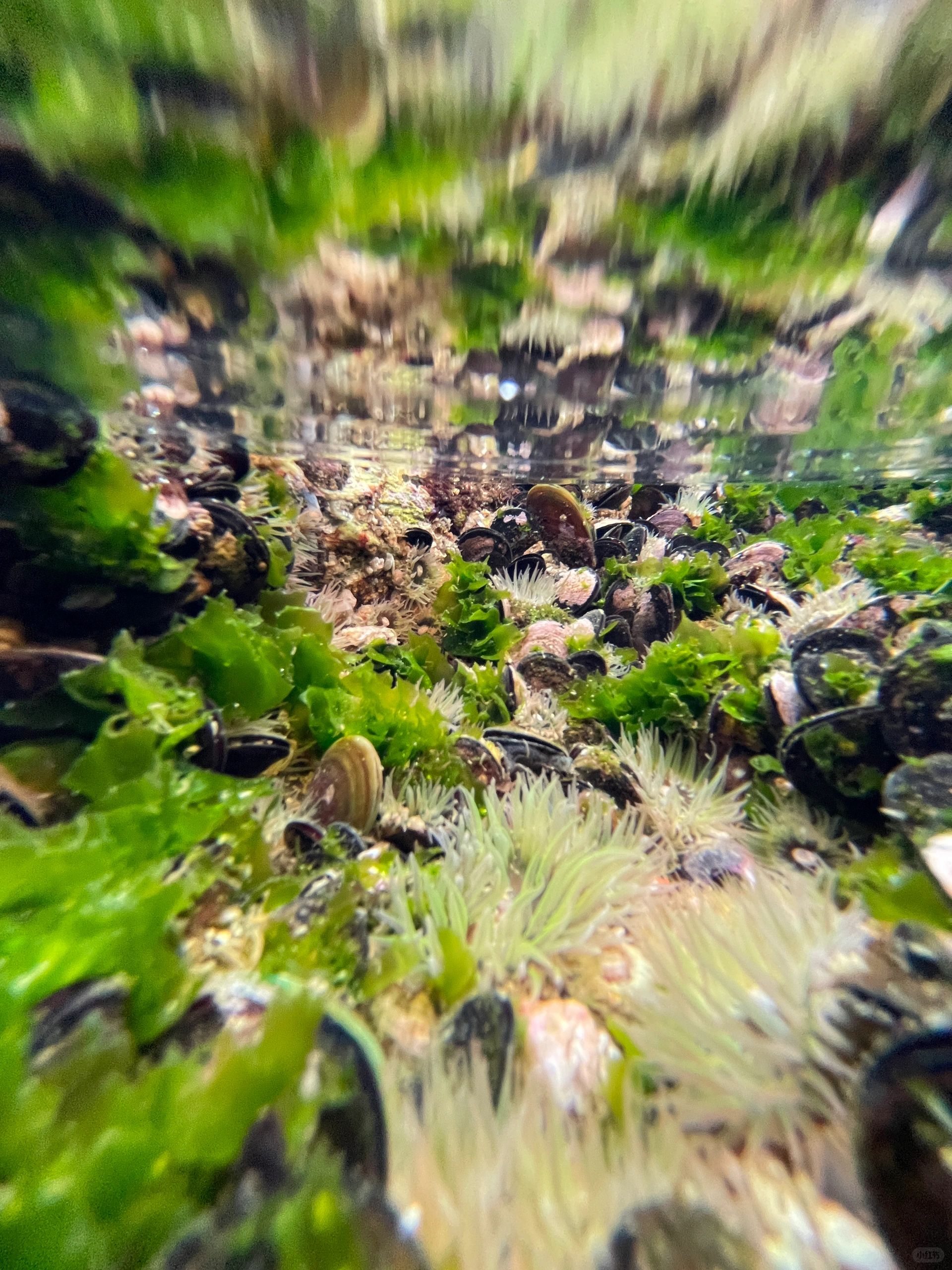 广东惠州超美赶海地推荐