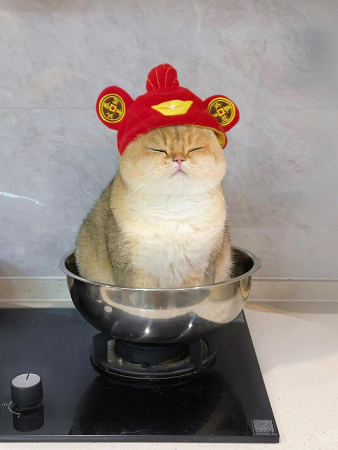 2024道个别 2024最后一天上班的小财神[舔屏] 