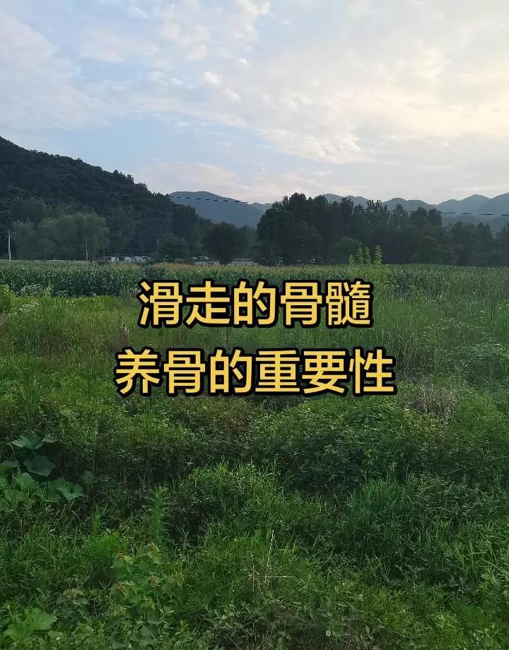 森林狼击败马刺将比分扳平！天王山战役来了！联盟将审视文班肘击动作，文班亚马G5或
