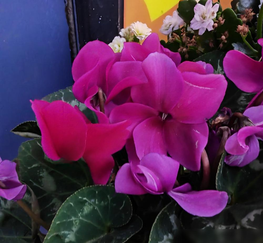 “未来女婿得年薪千万”！
​
李湘一句豪言，让多少“潜力股”望洋兴叹啊！
​
这