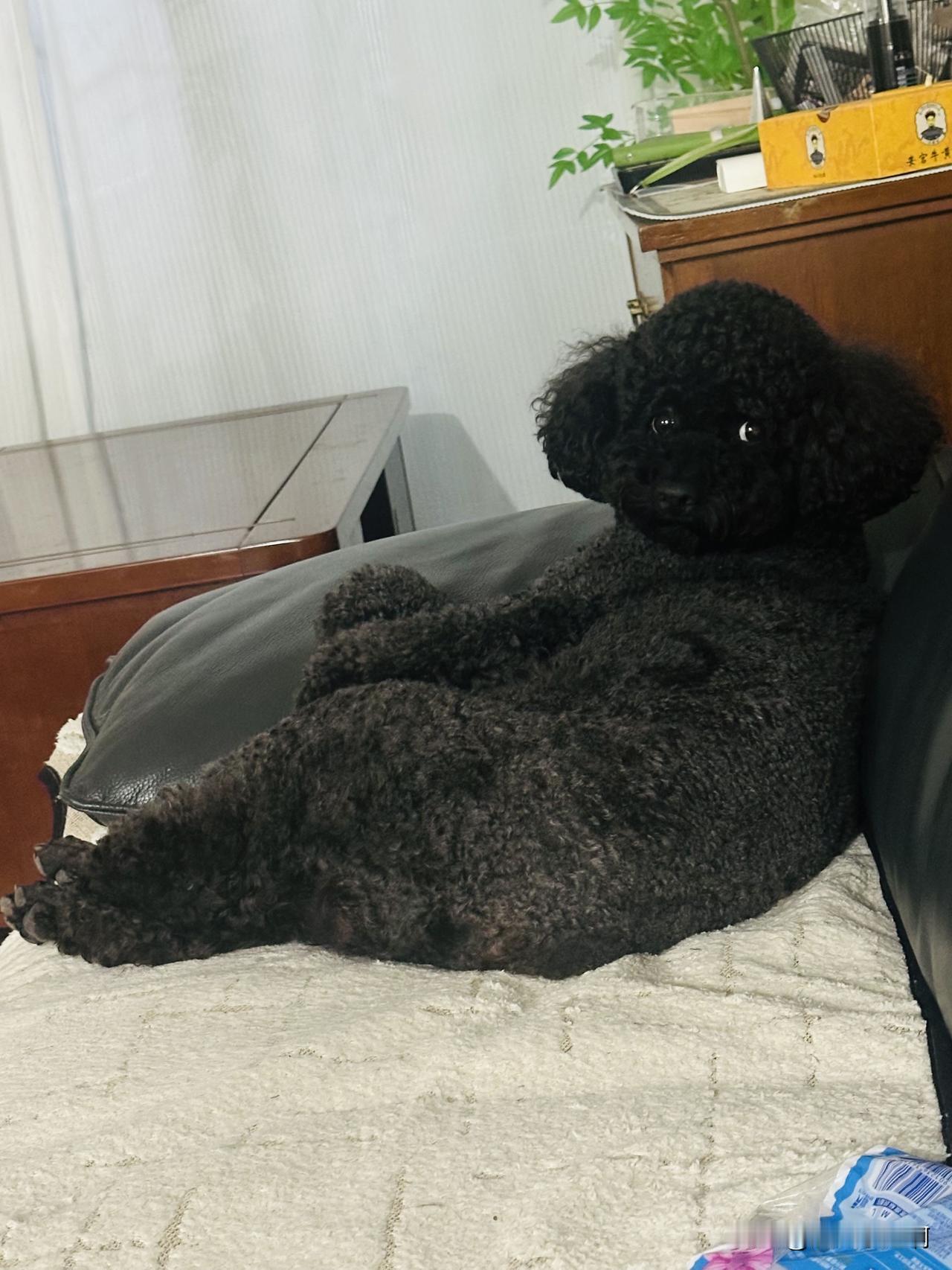 这篇写点啥呢？
就写写我这强大的自愈能力和心理素质吧。
有姐妹说很佩服我这偌大的