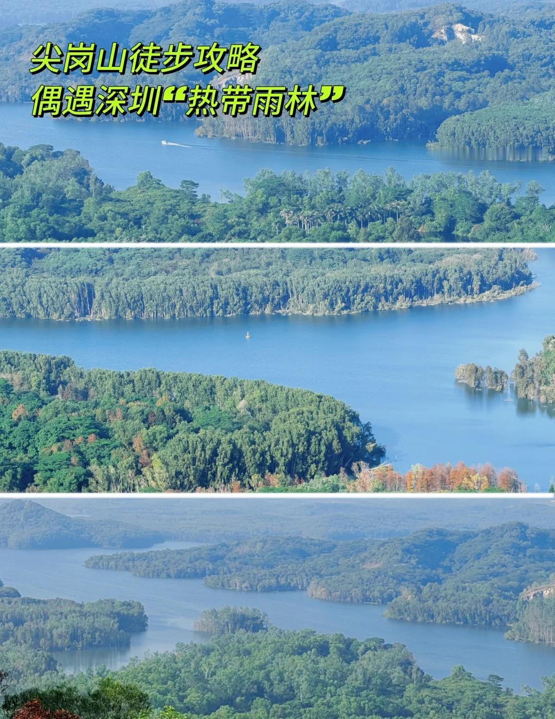 30分钟打卡深圳版“亚马逊”🌳尖岗山徒步攻略
谁说深圳只有钢筋水泥？就在尖岗山