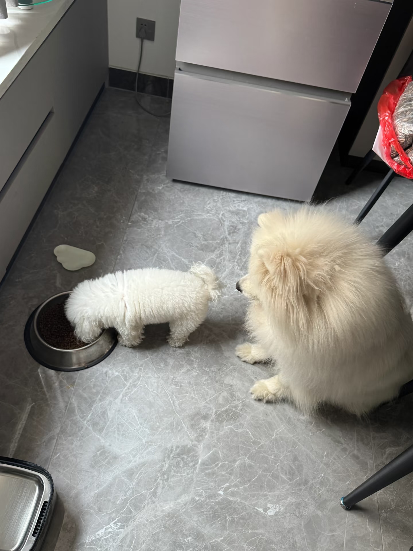 在我们家 大的都是等小的吃完才能吃