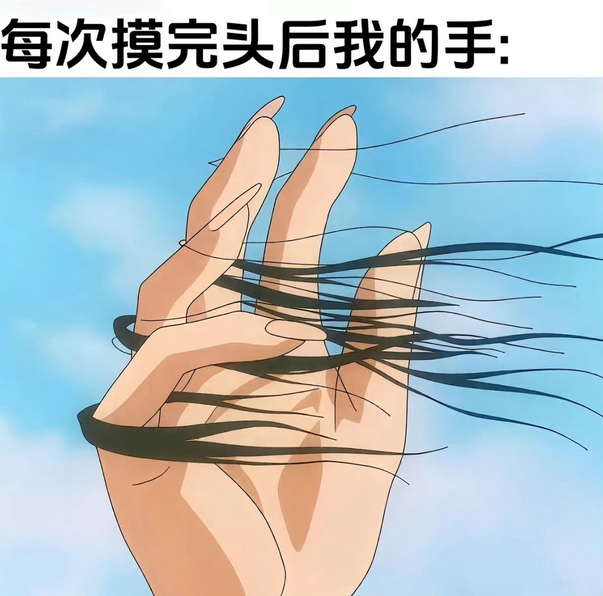 发量和发际线是我一生的坎儿 