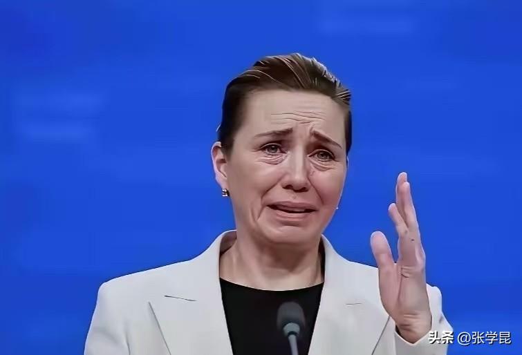 丹麦首相梅特·弗雷德里克森12日表示：“我们当初就不应该让自己依赖俄罗斯的石油和