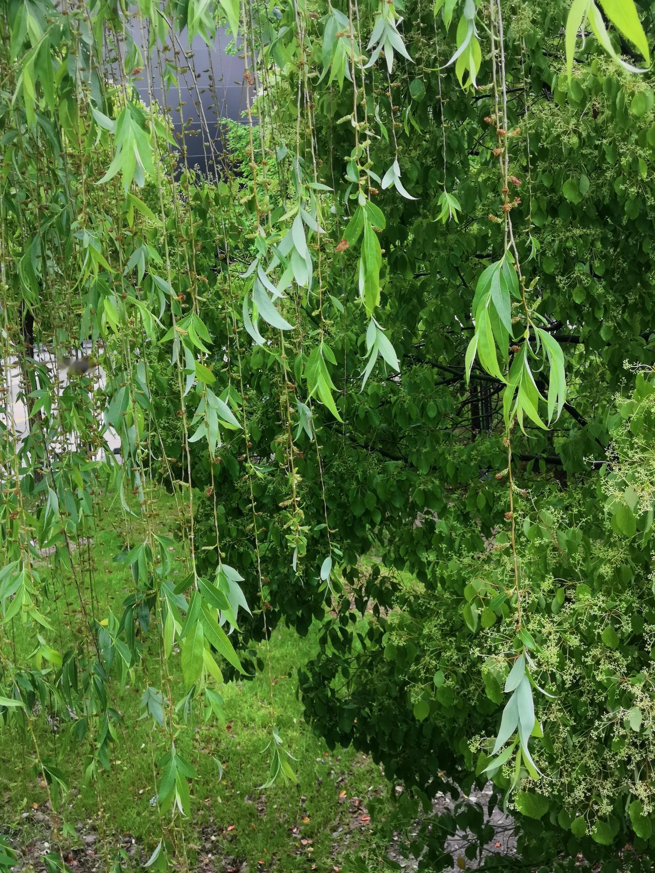 昨天，我们同事小王请2天假不来公司上班，并且告诉我们:她已经正式办理完离婚手续，