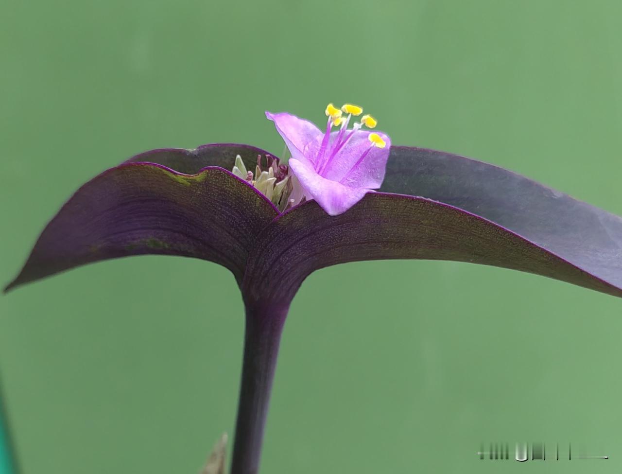 医保卡里的钱可以给家人花，以前我不知道，今年才知道，绑定一下就可以了。