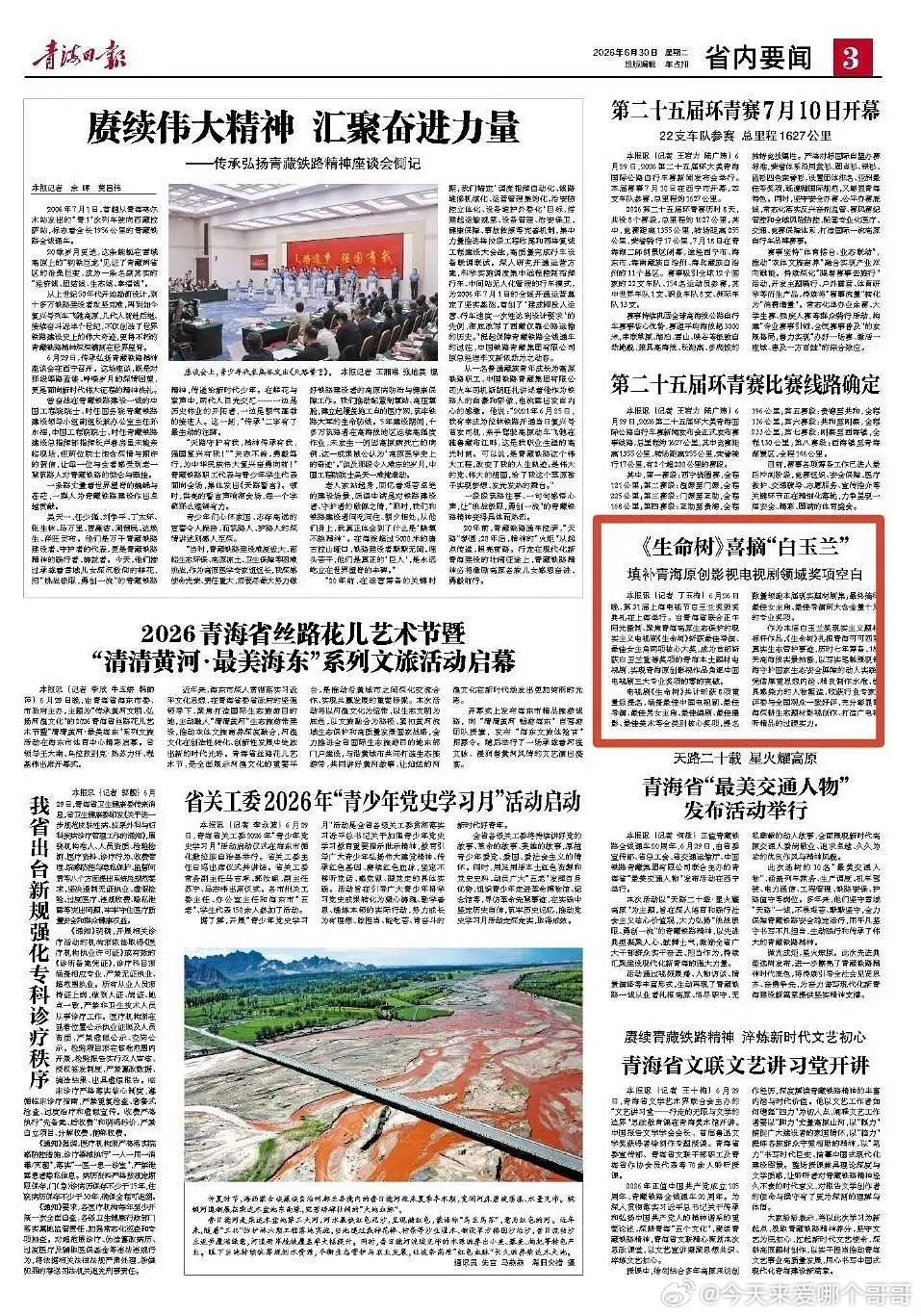 青海日报发文恭喜杨紫白玉兰视后：《生命树》喜摘“白玉兰” 填补青海原创影视电视剧