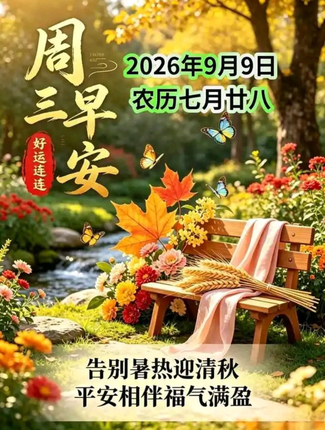 时光流转，季节更迭，褪去盛夏浮躁，接纳秋日清宁。愿在温柔秋光里，心有安然，日日舒
