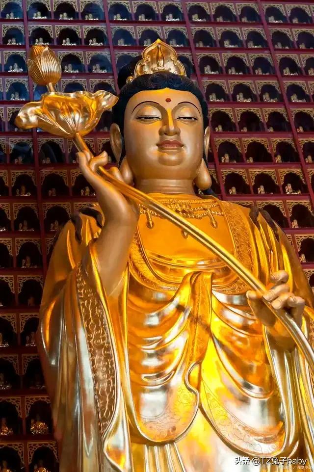 经典老人言
上桌就敲碗，长大不服管。
半夜，不能起床梳头发。
外甥，不在舅舅家剃