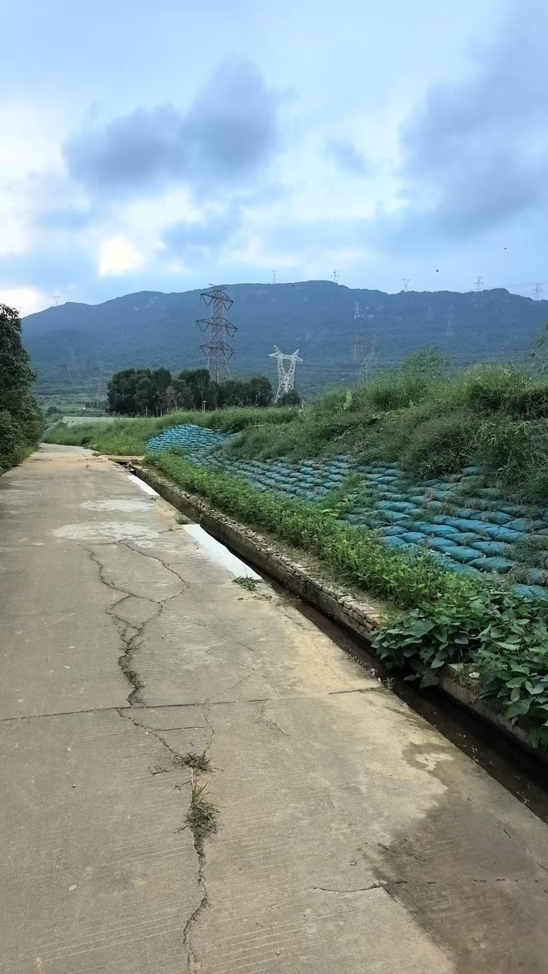 散步，饭后走一走 