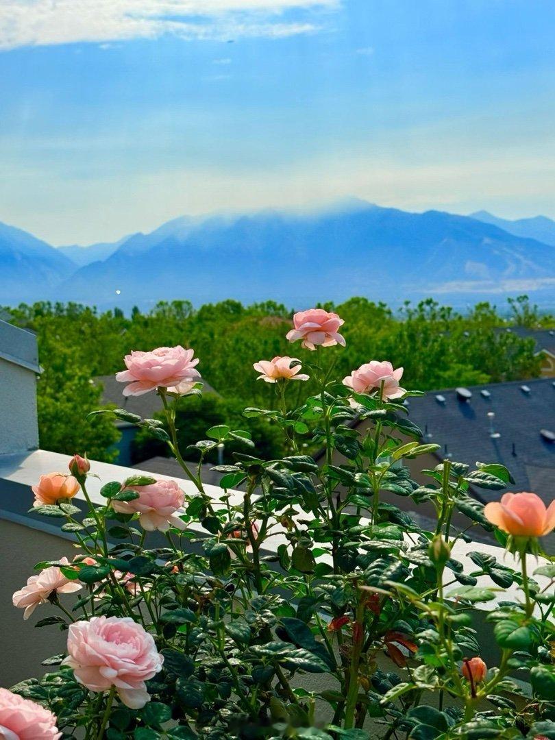 乖妈每日拍🌹 