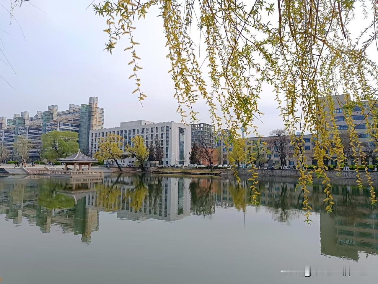 一切都在重新定义，
吃瓜重新定义了是非，
长卿重新定义了坚守，
曾仕强重新定义了