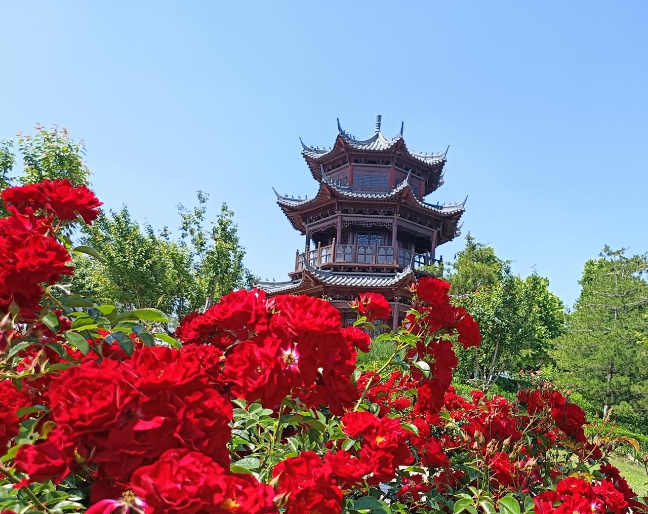 花谢花开皆有期，
人生路远自相宜。
任由香魂随风去，
清影翩跹入梦里。