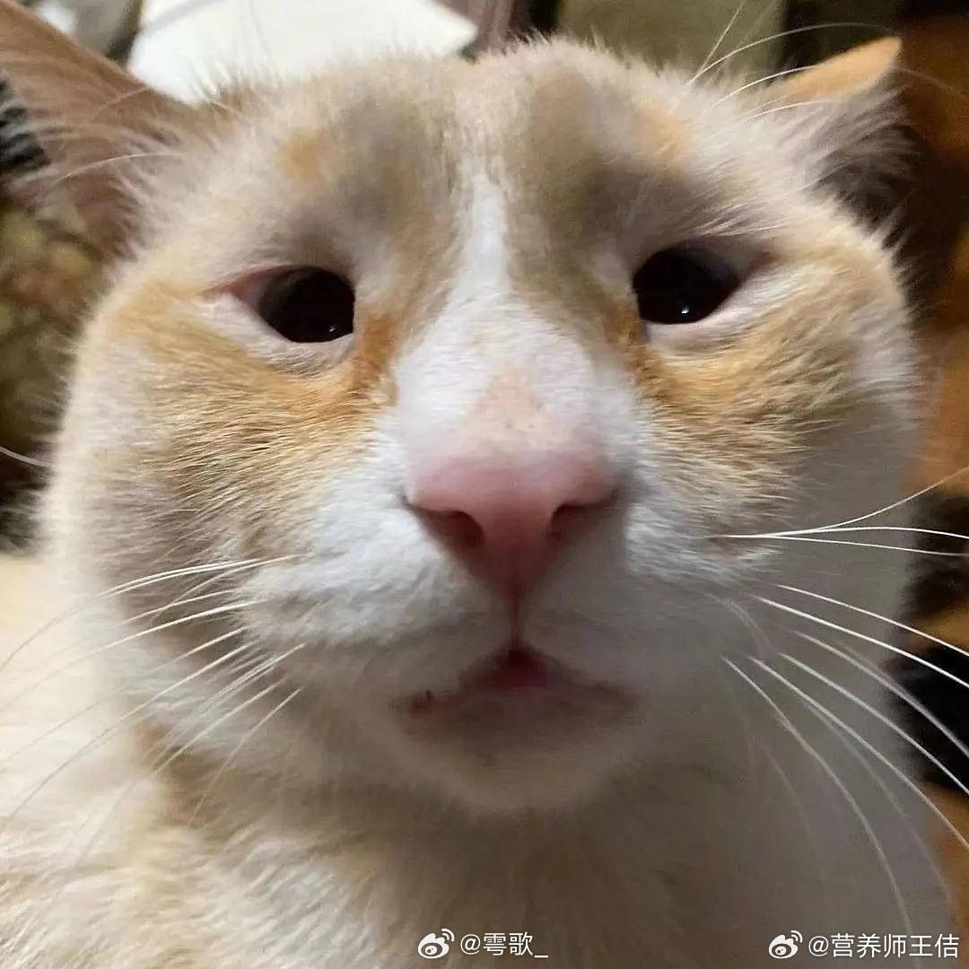 有没有人好好吃饭 呀~来给我检查一下~今天你吃了啥,给我看看