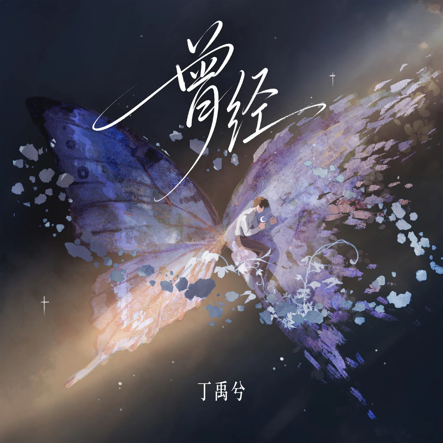 🦋🦋🦋美晕了 