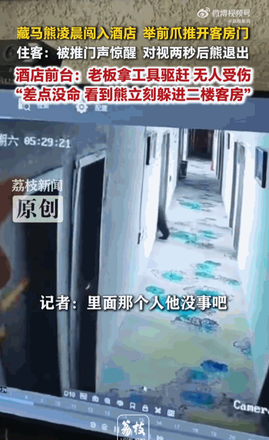 差点吓破胆！西藏那曲市比如县，资深旅游领队凌晨在酒店熟睡，反锁房门竟被藏马熊硬生
