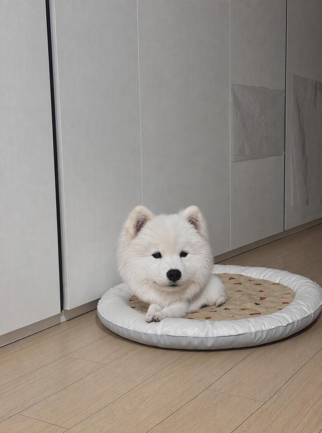 怎么今天也要上班啊，真是让狗头大耶 ​​​