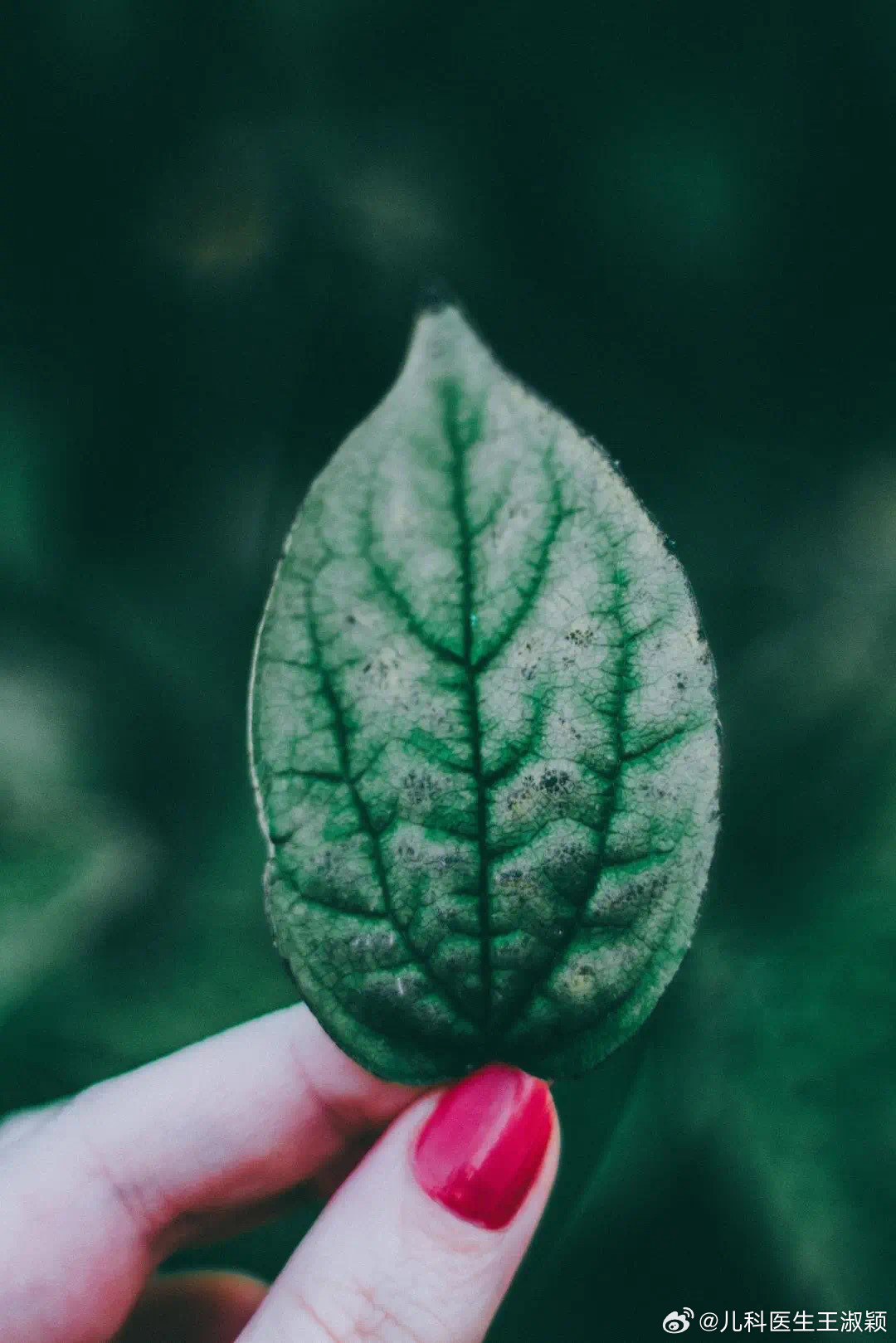 聊一下啥叫“对症治疗”吧。最近在门诊，最常跟家长说的高频词汇就是“对症治疗”这四