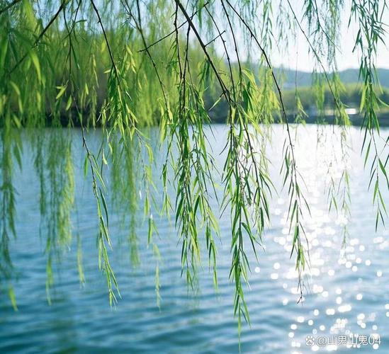 出句：碧水清风翠柳；
对句：蓝天红日白云‌。

联意赏析：[大金牙]
首先，从对