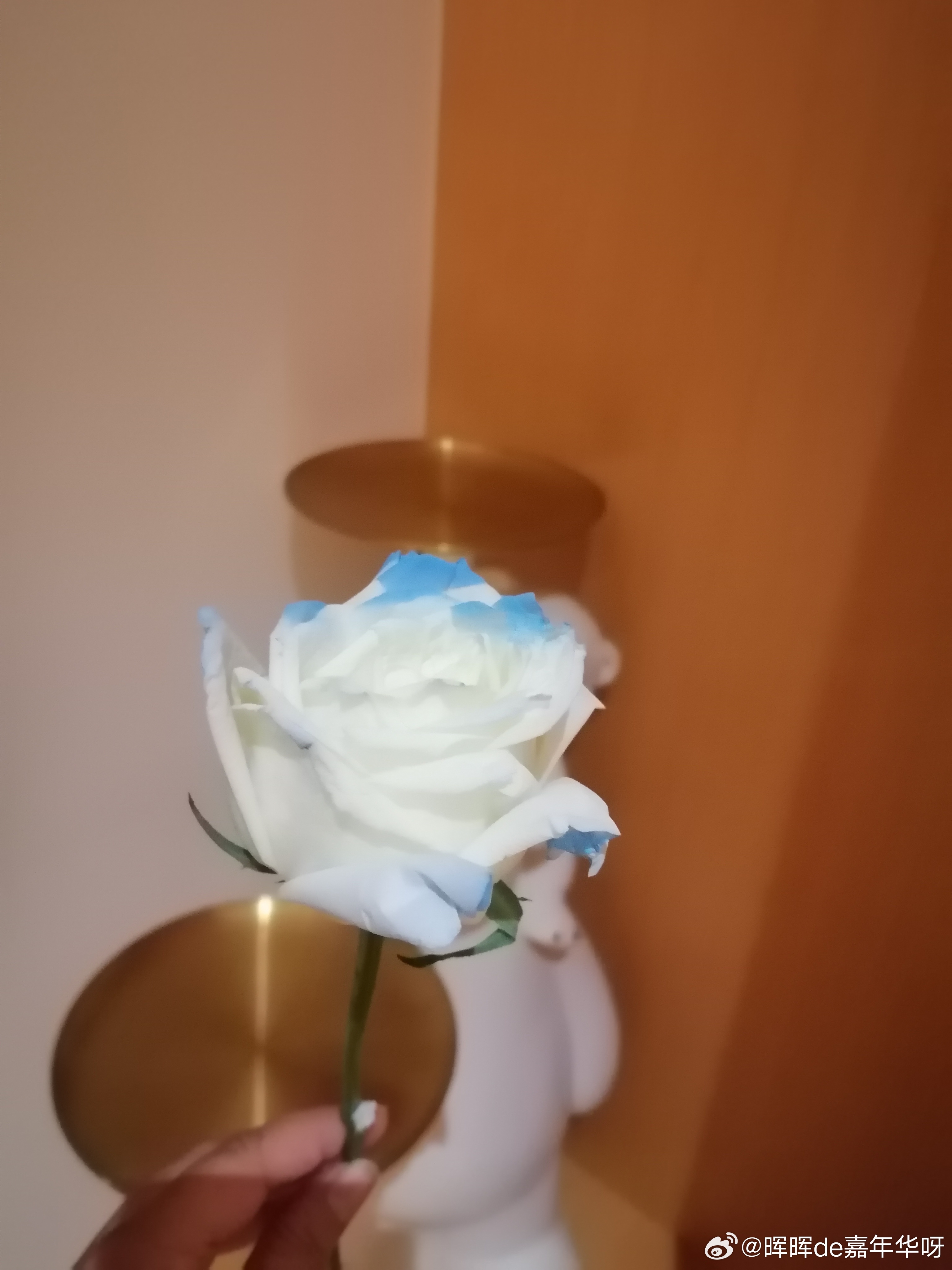 早安[超话] 早安越努力越幸运！ ​​​