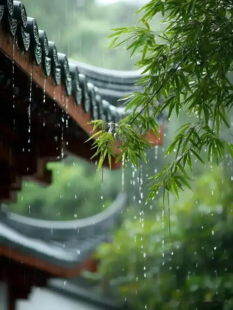 梅雨天衣服总有酸臭味？不止发霉这么简单，这份防潮攻略家家用得上
 
一连半个月阴