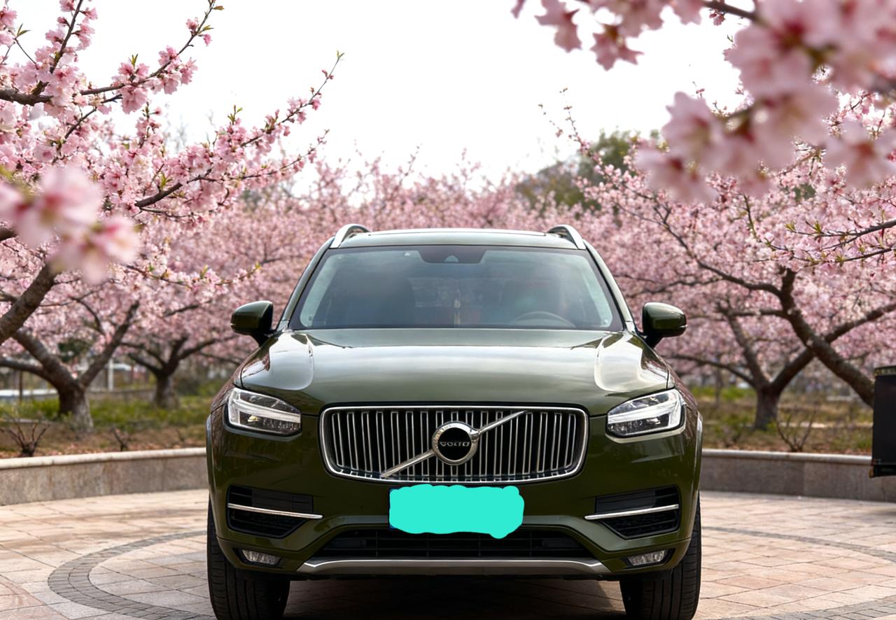 什么是桃花运呢？我开着沃尔沃xc90在充满桃花的路上运人。简称桃花运。春三月此为