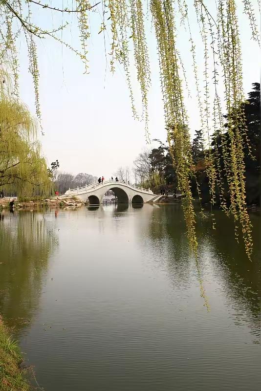 天净沙·春讯
东风夜扫残冬，
柳芽初绽波溶，
宿露轻催蕊动。
眸收春梦，
此间佳