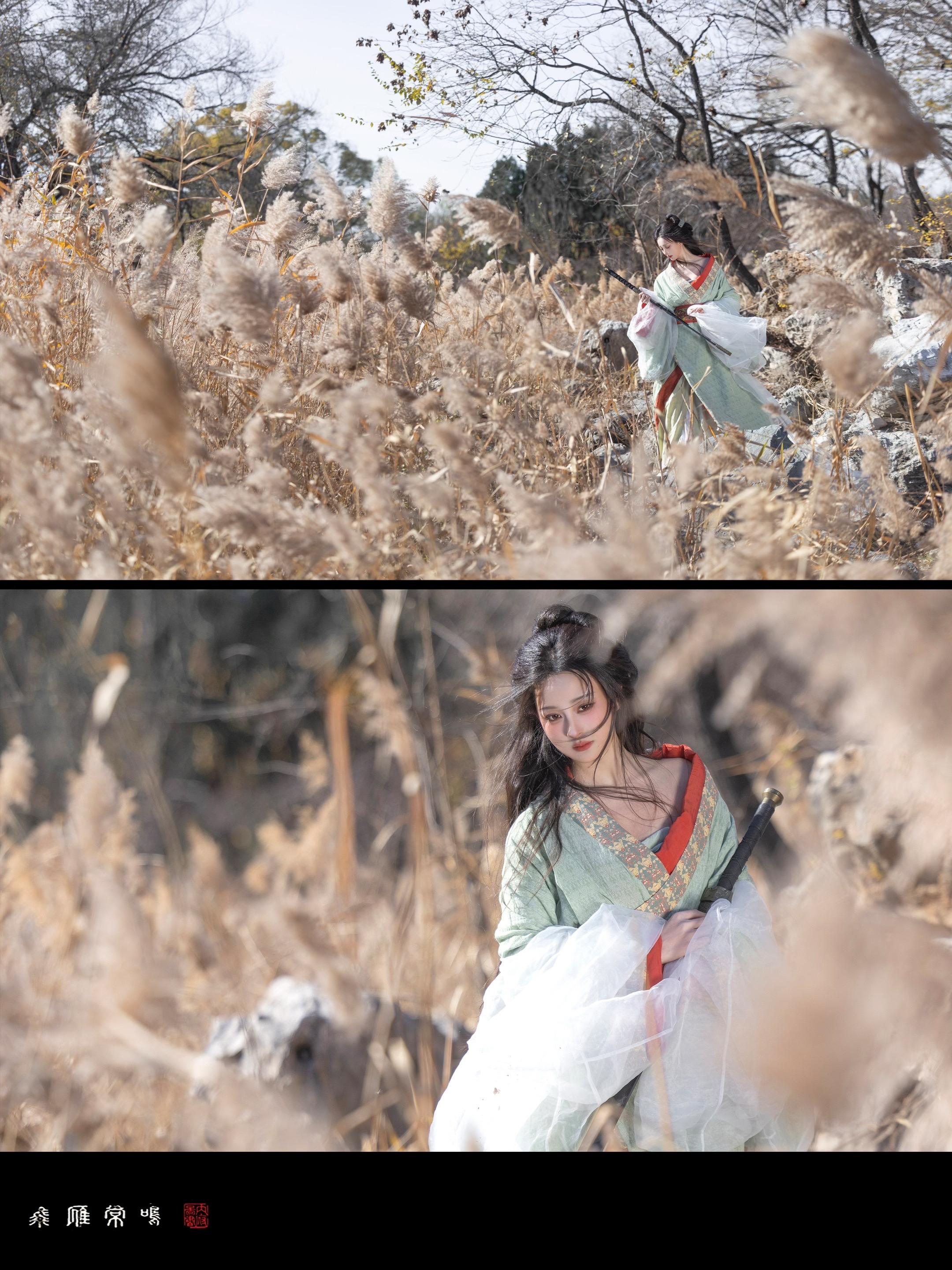 ‘ 秋风起 ’秋天的尾巴上拍了芦苇～ 真的很有萧瑟感 我愿称圆明园的芦...