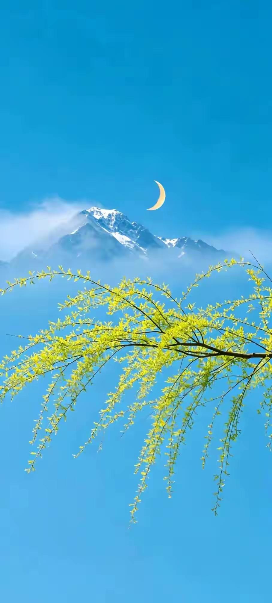 《闪电》

我是沉默的闪电
游走于雪山江湖之间
我一放电
莲花忍不住开放
我一放