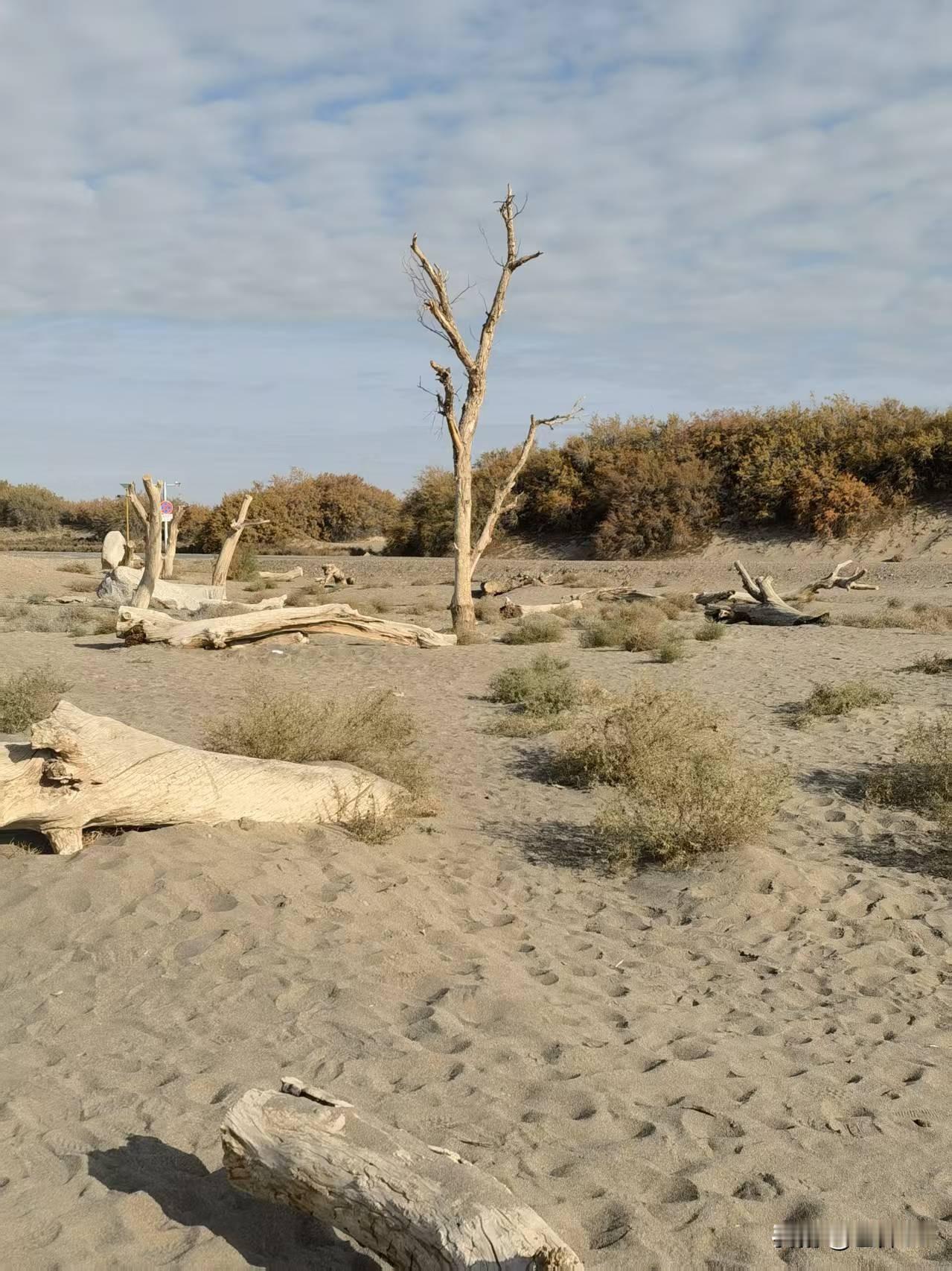 上联写昨夜清风轻拂梳理柳丝的柔景，下联续今朝细雨温润滋养红花的生机，时空衔接，画
