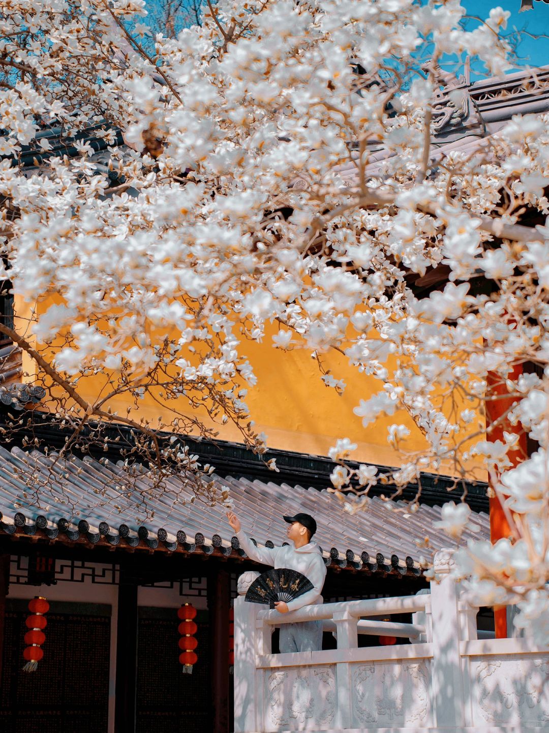 听劝‼️春天来南京追花也别错过⓮个赏花地🌸